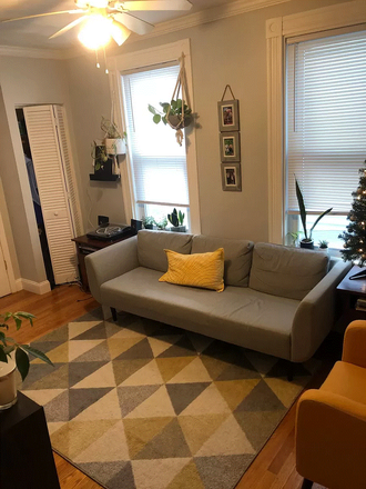 living room - Furnished 2-BR Unit near MGH, Harvard, Tufts, MIT, and easy access to Northeastern, Available