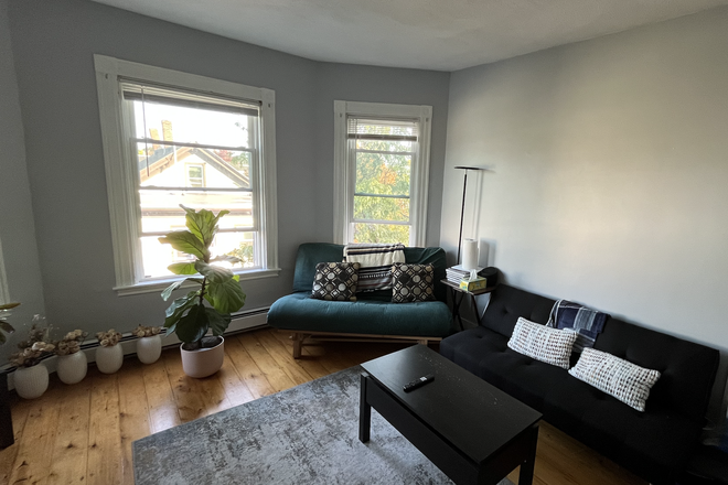 Livingroom now 1 - Room in 2B1B apartment on the Somerville Community Path, 15 mins bike ride to MIT