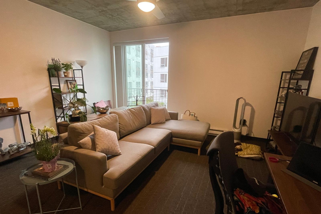 living room - Full 2 bedrooms apartment at UCSD grad housing