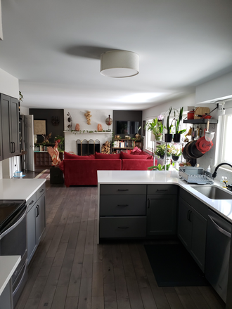 communal kitchen - Clean, Comfortable, Convenient, Calm, and Kind