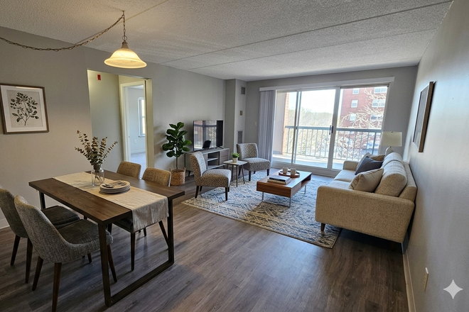 Living Room with Balcony Lots of Light! - ****Updated 2 Bedroom 1 Bathroom Apartment with Balcony Next to Campus****New on Market