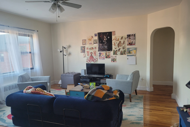 living room, south facing windows - Longwood Apartments