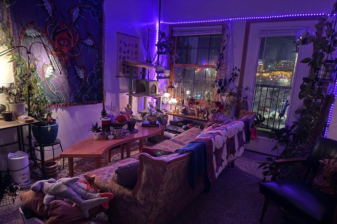 Livingroom - State Street Towers Apartments