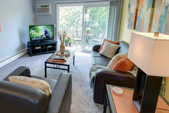 Living room - Collingwood Apartments