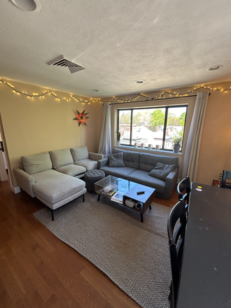 Living room - CHestnut Hill Ave apartment close to campus and T across the street *CHEAP SPACIOUS*