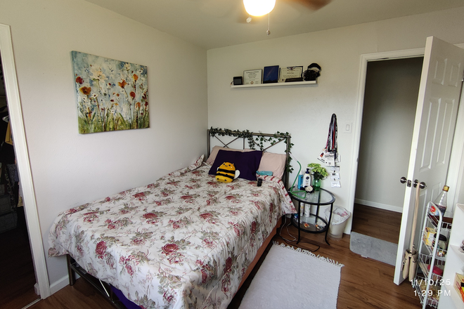 Bedroom with walk-in closet - One room in a 3 bed 2 bath apartment Close to East campus/SEEC bus stop