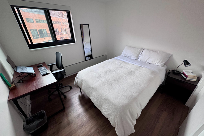Bedroom - Soldiers Field Park June Sublet - Furnished Room - REDUCED RENT