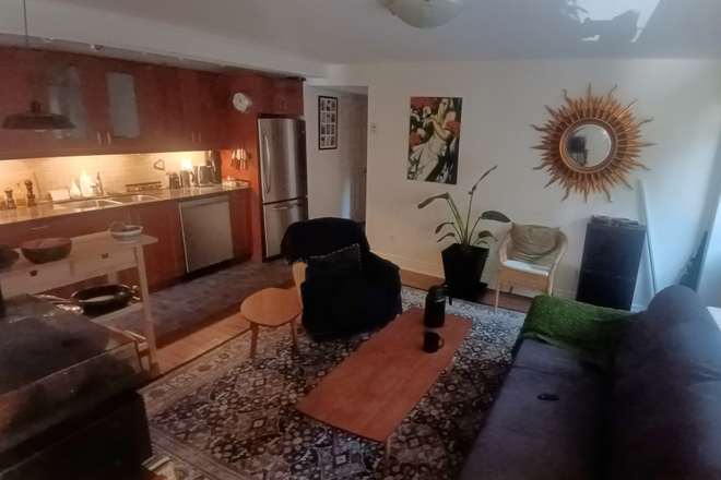 View of the shared living room/kitchen from the sun room - 2-Bedroom 1-Year Sublet: High Park Toronto Triplex