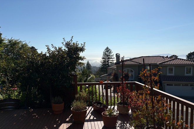 View of the Bay - Studio in the Oakland Hills