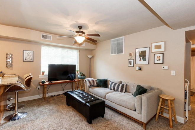 Living Room - Close to UI Hospital, Dental & Law School, 2 miles from downtown and U of I main Campus. Condo