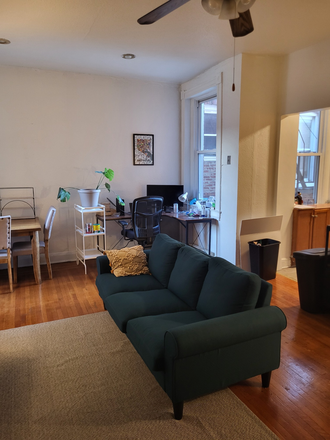 Living Room - Charles Village One-Bedroom Apartment