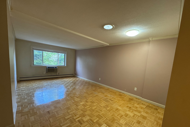 Living/Dining Room - Spacious, sunny 1br/1ba apartment with OFF-STREET parking near Harvard - Available 8/15!