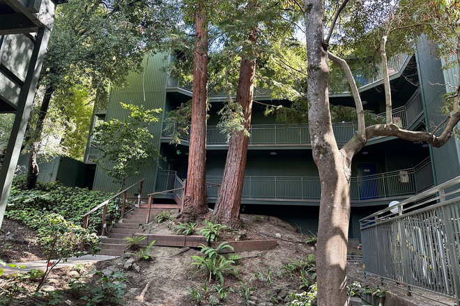  - Bright Furnished 1BD/1BA Near UC Berkeley – Quiet, Updated & Move-In Ready