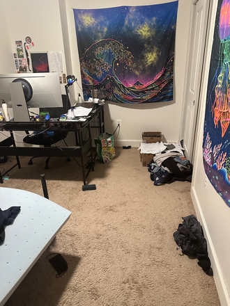 Bedroom - University West Apartment (room available in 3 bed/2 bath apartment)