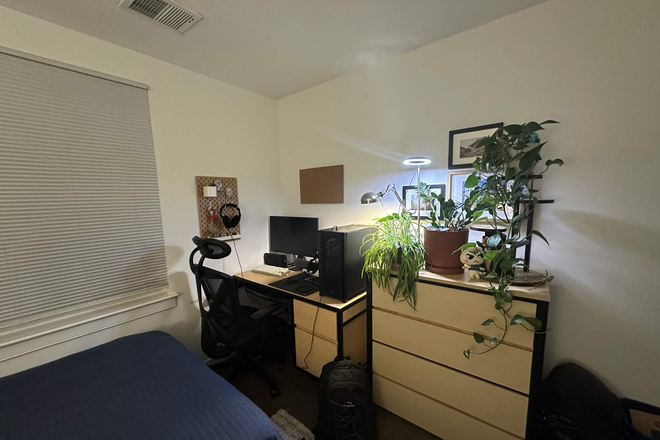 Bedroom Desk and Dresser - South Campus Commons Building 3 Room 3310B - 4 Bed 2 Bath Apartment