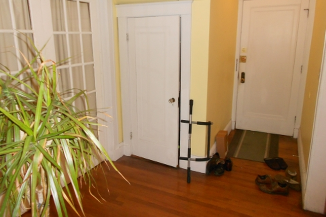 Photo - 100 Winchester St Apartments