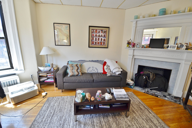 Living Room - Beautiful, Sunny, 1 Bed in BACK BAY Close to Campus!! **LANDLORD PAYS AGENT FEE**
