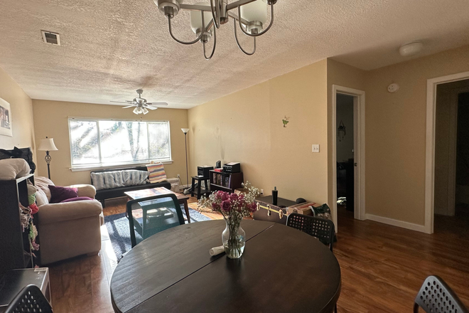 Living room, bedroom and bathroom doors - Apartment on Jamestown Rd
