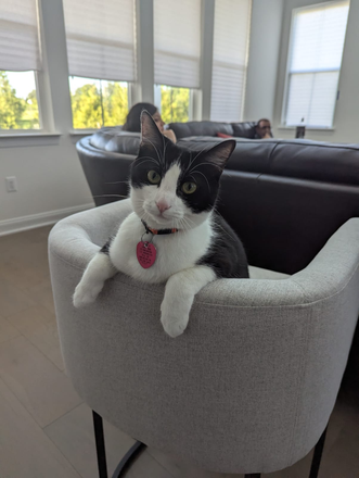 devi! - Spacious house in somerville