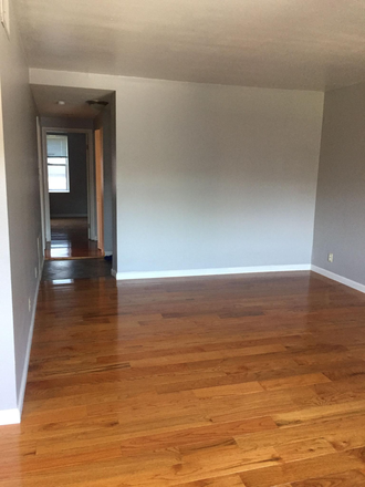 living room - 308 Clara Ave, unit 13,  0.9 Miles from Campus, WashU Shuttle stops at Front Door of Building Apartments
