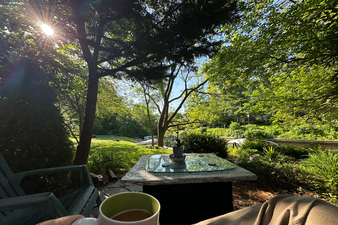 Your view from the patio - Waterfront home on Lake Anne, Reston.  Furnished bedroom with bath shared with female roommate.