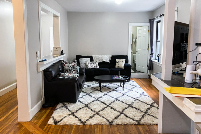 living room - 1056 Commonwealth Ave - Huge bedrooms, seconds to Babcock T stop & Star Market!