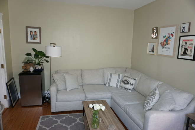 Living Room - Available September 1, stunning 1 bed in Cleveland Circle! Apartments