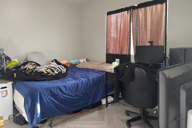 Bedroom - Larkspur  Lounge block from  cat-tracks Current tenants House