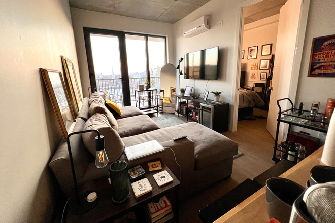 Furnished living space (couch, TV included) - 2BR Prospect Park Apartment, High Floor, Bright, Amenities Included