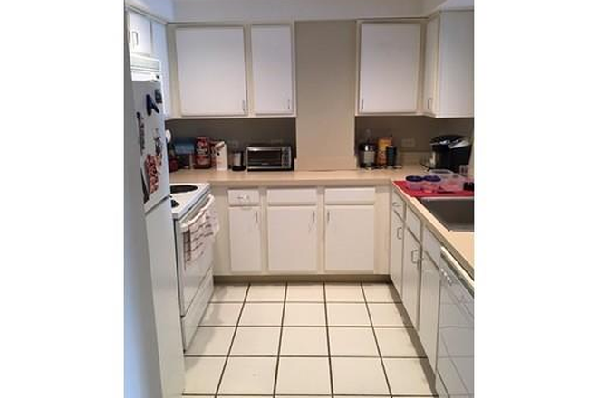 Call call or text Arezou at 617-584-7817 - Top floor 2 bed 2 bath in Elevator building with laundry on each floor!No Broker fee!!!! Condo