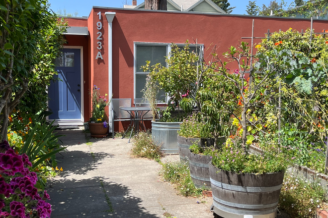 Path to Cottage - Quiet 2 Bedroom/1 Bath, Garden Cottage, Less Than 1 mile to UC Berkeley Campus