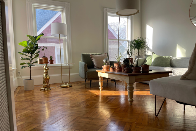 Living room refurbished - Very-well located, fully furnished, calm, spacious, elegant colonial house w/ garden & parking.