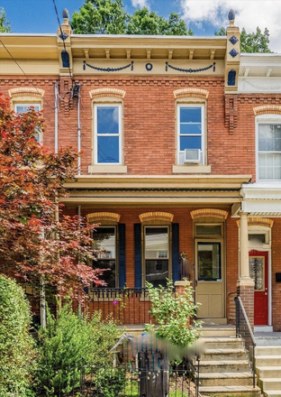 Street View - House share with Penn Faculty and 55 lb. muppet dog