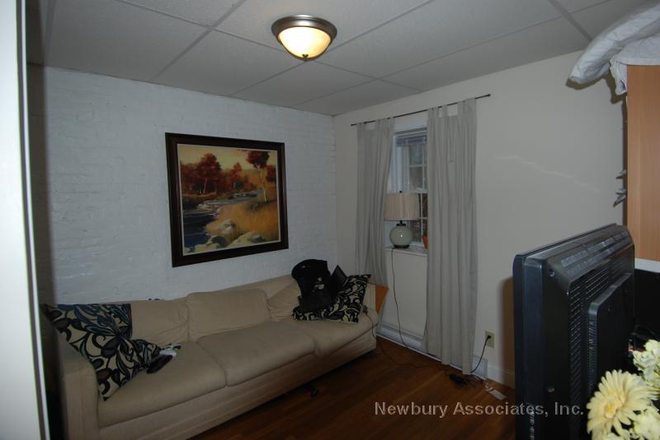 - - Close to Campus! Pet Friendly 2 bed w/ Laundry in Building Apartments