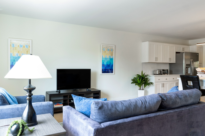 Living Room with tv stand, 40" smart tv - FULLY FURNISHED 1BR APTS NEAR DUKE  Bring Suitcase and Laptop — Everything else is there for you!