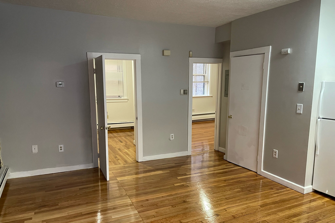 living room - Awesome 2 Bed in Beacon Hill on Garden St!! Available 9/1/2025 Apartments