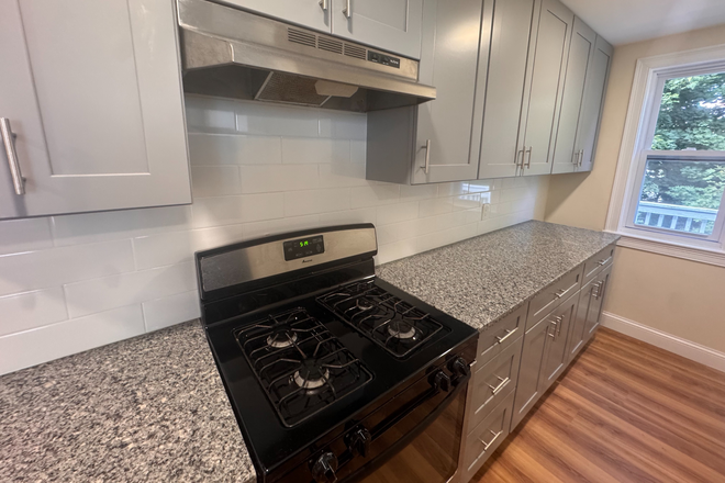 - - Close to Campus! No Broker Fee! Renovated 4 bed 1 bath close w/ Laundry & Parking Apartments