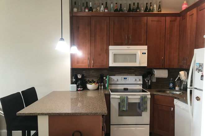 Call NOW for showings! 617-236-8600 - SYMPHONY RD - RENOVATED 3BR/1BA CONDO NEAR SCHOOL FOR *9/1/2026* W/ LNDRY IN BLDNG, EQUAL BDRMS, DW!