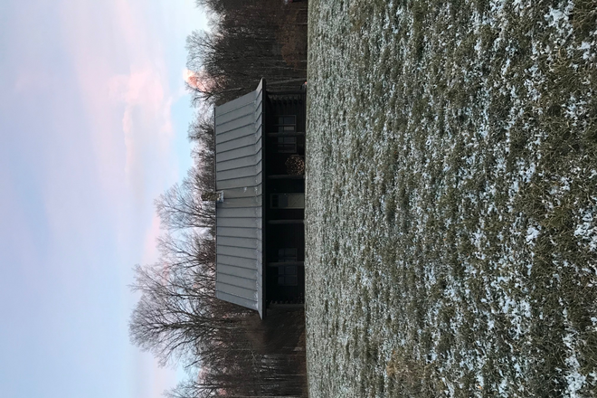 1 ext - Pristine 3 Br 3 Bath with stone fireplace -simply furnished Log cabin on 24 acres House