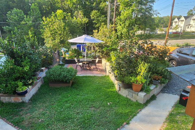 front garden - Duplex apartment for rent near Duke East Campus