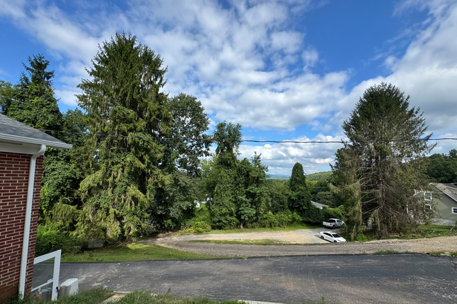 view from patio - Freshly updated 4BR/3Ba home close to campus, shopping, etc...