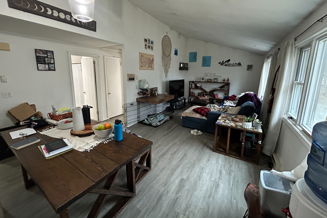 Living Room - 1-Bedroom Apartment in Chaplin