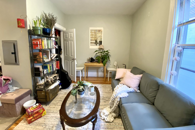 LIVING - NEWLY UPDATED 4 BED/2 BATH! 9/1/26! Apartments