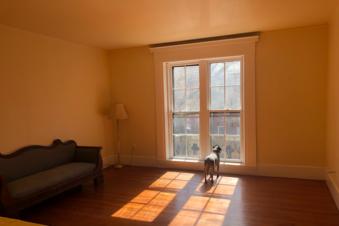 floor-to-ceiling windows in the living room facing Brattle St - Unique, light-filled 1st floor apartment in historic house close to Harvard Square
