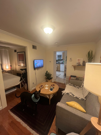 Living Room - Updated Porter Square 1 Bed | Parking Available Apartments