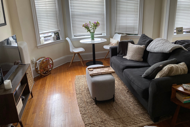 Bedroom-LIVINGROOM - PACKARD'S CORNER STUDIO/ALCOVE  NO  FEE MOVE IN **SEPTEMBER 1ST***