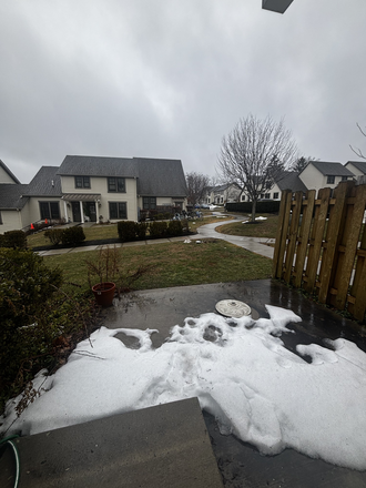 Backyard - Relet:2BR thome for PU faculty/staff only-Bayard Lane-Princeton