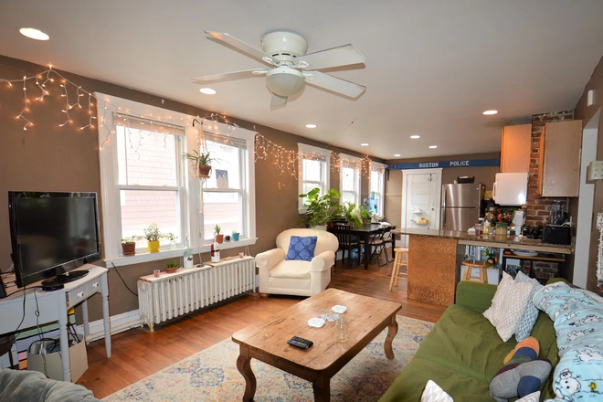 LIVING ROOM - ALLSTON 4 BED 2 BATH WADSWORTH ST 09/01 IN UNIT LAUNDRY PARKING INCL Apartments