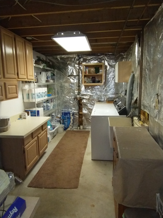 Laundry room - Quiet One Bedroom Apartment