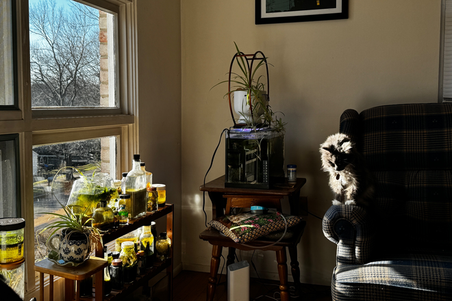 Living room - Room for rent in College Heights 3br home